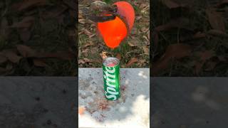 1500c Molten Glass vs Sprite  Coca Coal 😱What’s Next  satisfying experiment science asmr [upl. by Ydnak]