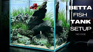 BETTA FISH TANK SETUP  IWAGUMI AQUASCAPE FOR BETTA FISH  AQUASCAPING TUTORIAL  NANO AQUARIUM [upl. by Anailli]