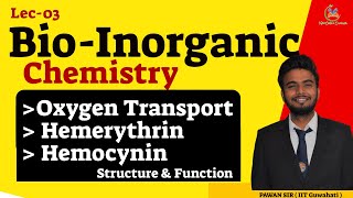 Structure amp Functions of Hemerythrin  Hemocyanin Oxygen Transport System in Bioinorganic Chemistry [upl. by Burra404]