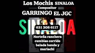 el corrido de Martin morales garringo el jgc [upl. by Irmgard]