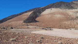 The LAVAS NEGRAS Last Eruption from Teide Volcano teide lava geology hazard nationalpark [upl. by Ellenod844]