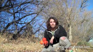 Juggling Tutorial 4 Ball Intermediate Siteswaps [upl. by Nedak276]