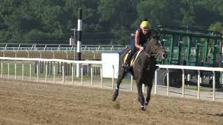 Sedona works a half mile at Fair Hill June 1 [upl. by Oivaf]