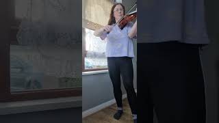 Bach Double in B Minor for Solo Violin [upl. by Kajdan]