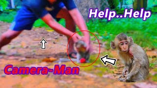 TOP SCENE MONKEY OF RESCUE A BRIAR MONKE MONKEY Jenifer99 [upl. by Atauqal771]