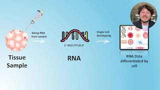 The revolutionary use of AI Deep Think in single cell RNA genotyping [upl. by Nahoj]