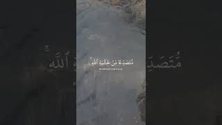 Maher AlMuaiqly quranrecitation quran maheralmuaiqly [upl. by Ilenay]