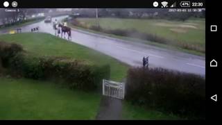 Horse and rider gets hit by car [upl. by Fiel598]