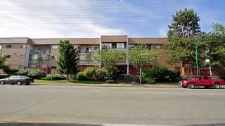 Unit 304  2245 Wilson Ave Port Coquitlam [upl. by Cutlerr]