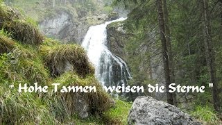 Hohe Tannen weisen die Sterne [upl. by Rockie]