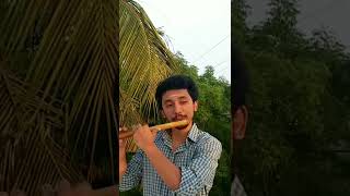 Anbe Anbe Ellam Anbe  Flute Cover Song  Harris Jayaraj [upl. by Lhamaj59]