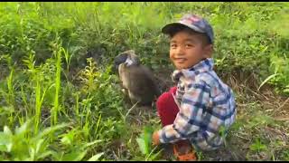 Vannak cut grass for rabbits to eat [upl. by Paulita]