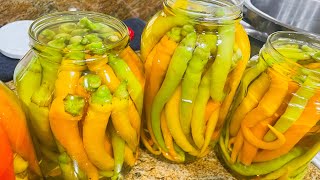 Lepa Brena  Hot pickled peppers  Zimnica  ￼ [upl. by Ityak237]