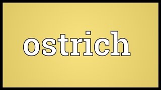 Ostrich Meaning [upl. by Tye]