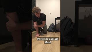 Quadruped Posterior capsule shoulder mobilization jointmobility shoulder [upl. by Rutger]