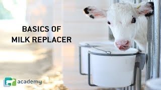 The Basics of Calf Milk Replacer Manufacturing [upl. by Lyle139]