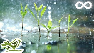 Raindrops • Relaxing Piano Music with Tropical Rain Sounds for Sleep Work or Meditation [upl. by Naneek]