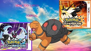 how to catch TORKOAL in pokemon ultra sun and moon [upl. by Nospmis64]