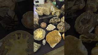 AMAZING cool stones from Ed Orocks booth at the Minnesota Gem amp Mineral show [upl. by Agem]