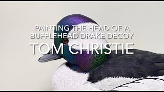 Painting The Head of a Bufflehead Drake Decoy [upl. by Pontone]