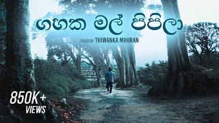 Gahaka Mal Pipila  ගහක මල් පිපිලා  Cover by Thiwanka Mihiran [upl. by Spanos]