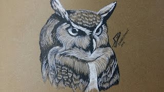 drawing realistic owl [upl. by Bouton947]