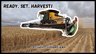 First time harvesting Down Under  Harvest 2024 [upl. by Nellda]