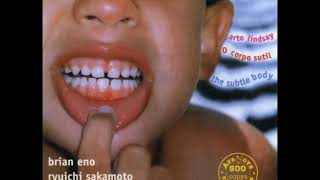 Arto Lindsay  O corpo sutil Full album [upl. by Eednarb]