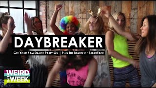 Hollywire Goes to a 6am Dance Party  Tries Breadfacing WEIRD THIS WEEK  Hollywire [upl. by Volpe449]