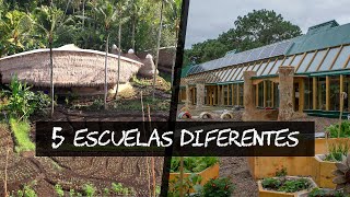 5 ESCUELAS con métodos de ENSEÑANZA diferentes [upl. by Thetos]