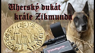 Zlato krále Zikmunda  život s belgickým ovčákem [upl. by Eirotal266]