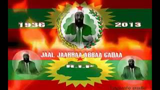 Seenaa Jaarraa Abbaa Gadaa Abdulkarim Ibrahim Hamid seeneessaan Ariif Alii  Jaarraa Abba Gada bio [upl. by Valdes]