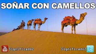 Significado de Soñar con Camellos [upl. by Adniles960]