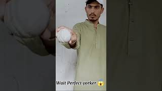 perfect Yorker tips😱😱precticetime circketshorts reels tips cricket [upl. by Laflam]