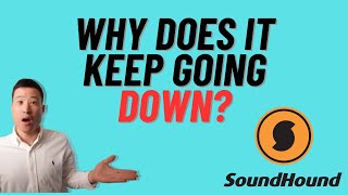 Heres Why SoundHound AI Stock Continues to Fall [upl. by Enined]