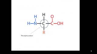 BTEC Applied Science Unit 3 Enzymes 1 [upl. by Guimond]