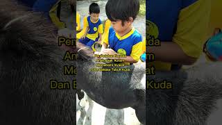 Jalinan Kasih NonVerbal Aktiviti Equine untuk Anak Autismautismawarenes autism horse [upl. by Nalyorf]