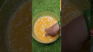 Bael fruit juice🥤 Bael Sarbat recipe shorts woodapple shuklapoojakirasoi [upl. by Auginahs]