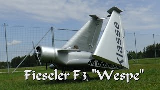 Fieseler F3 Wespe [upl. by Iidnarb]