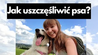 JAK USZCZĘŚLIWIĆ PSA [upl. by Fitzhugh427]