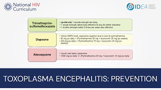 MiniLecture Series Toxoplasma Encephalitis Prevention [upl. by Wehttam]