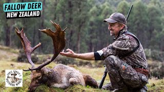 Hunt for an Incredible Fallow Deer in New Zealand [upl. by Palocz]