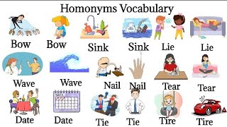 Homonyms Vocabulary Homonyms in English Common homonyms Words with Examples [upl. by Lucier]