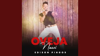 Oveja Ñawi [upl. by Philipines]