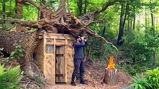 Building a fairytale hut in the roots of a fallen tree [upl. by Kile]