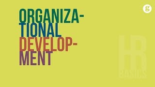 HR Basics Organziational Development [upl. by Malha429]