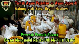 Peternak Pemula Jangan Takut Gagal [upl. by Aicekal]