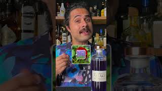 Reviewing Nisaki  Color Changing Gin shorts [upl. by Strickman]