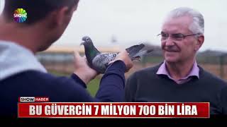 Bu güvercin 7 milyon 700 bin lira [upl. by Nrobyalc]