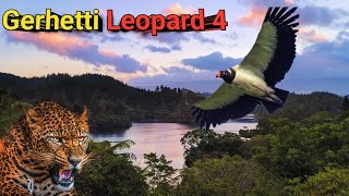 Gerhetti Leopard 4 । Shikar Kahani । Hunting Stories । Wildlife Story Narration । Best Shikar Story [upl. by Benenson629]